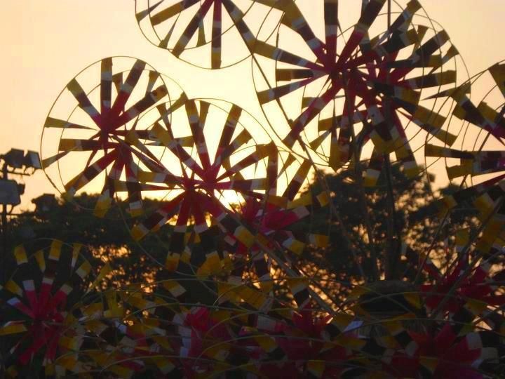 Photo of Kolkata Through a Lens: A Photographic Guide 35/44 by Nutan Lakra