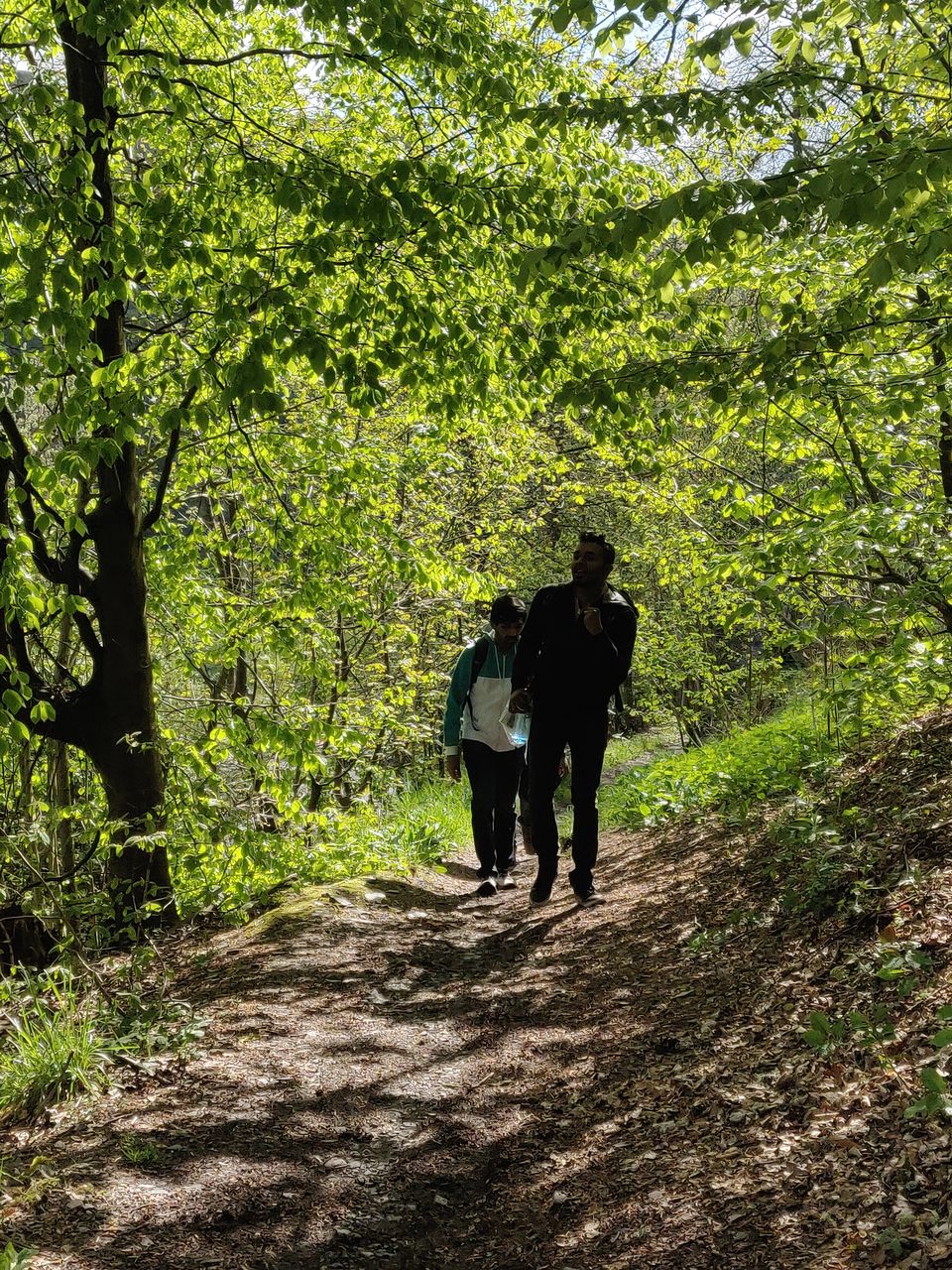 Photo of Summer Day Trip: Hiking along the Eifel Region (Stage 3 : Monschau to Einruhr) by Eby George