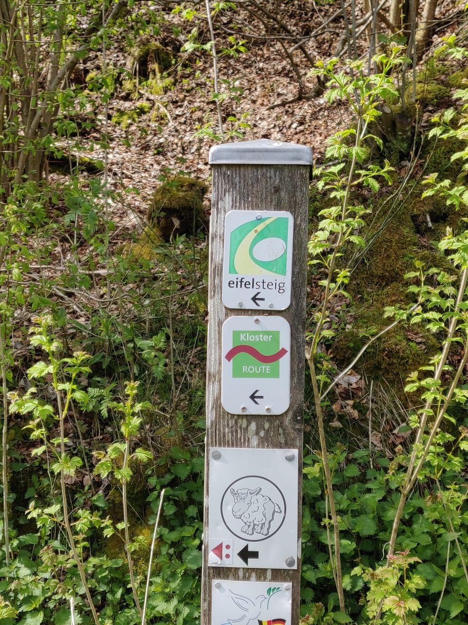 Photo of Summer Day Trip: Hiking along the Eifel Region (Stage 3 : Monschau to Einruhr) by Eby George