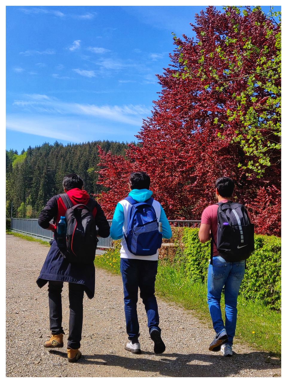 Photo of Summer Day Trip: Hiking along the Eifel Region (Stage 3 : Monschau to Einruhr) by Eby George