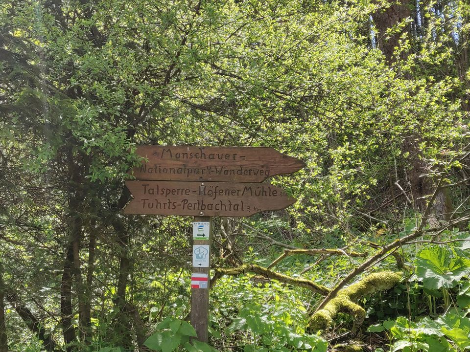 Photo of Summer Day Trip: Hiking along the Eifel Region (Stage 3 : Monschau to Einruhr) by Eby George