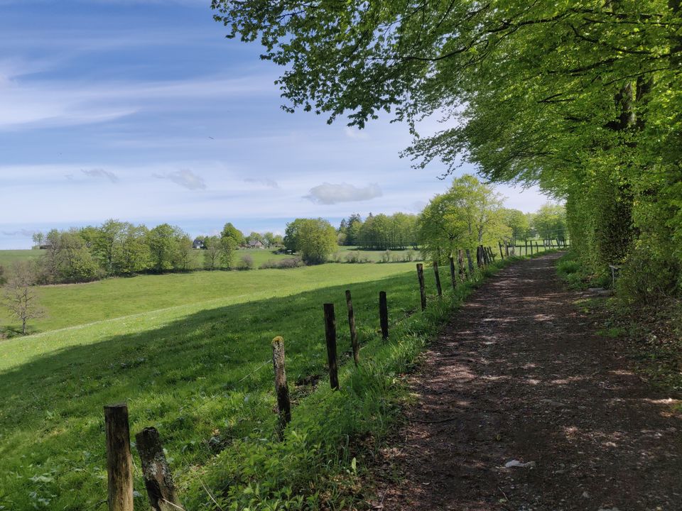 Photo of Summer Day Trip: Hiking along the Eifel Region (Stage 3 : Monschau to Einruhr) by Eby George