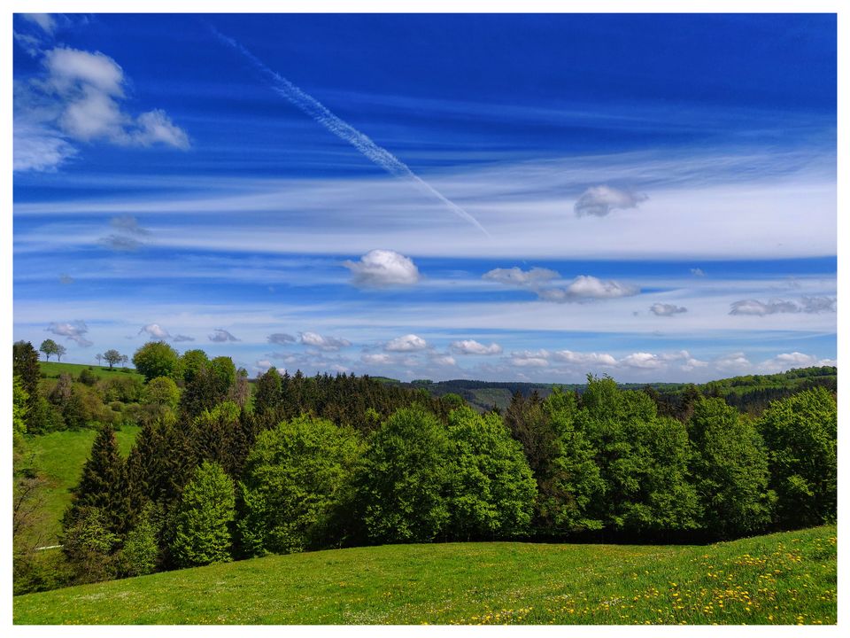 Photo of Summer Day Trip: Hiking along the Eifel Region (Stage 3 : Monschau to Einruhr) by Eby George