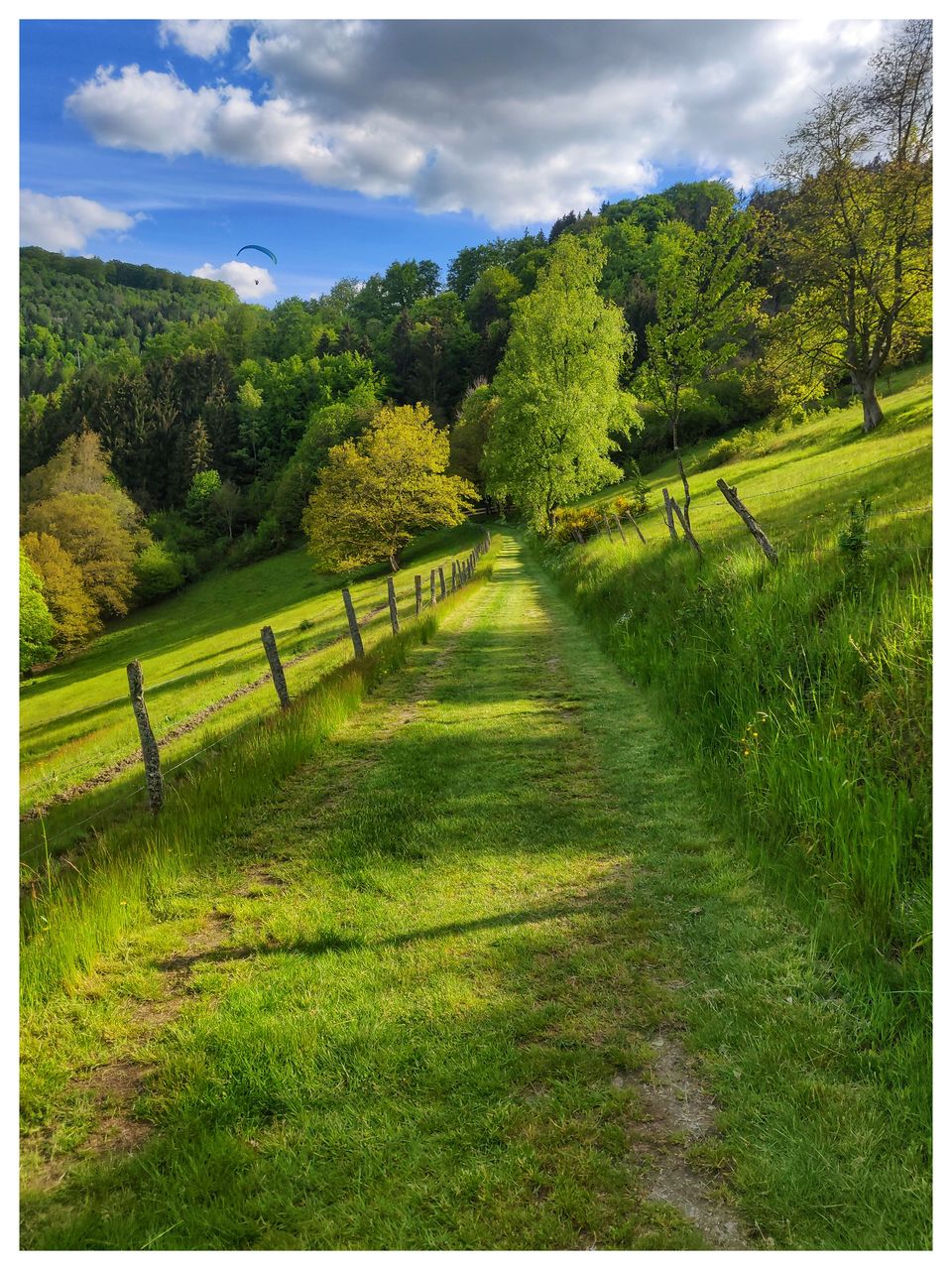 Photo of Summer Day Trip: Hiking along the Eifel Region (Stage 3 : Monschau to Einruhr) by Eby George