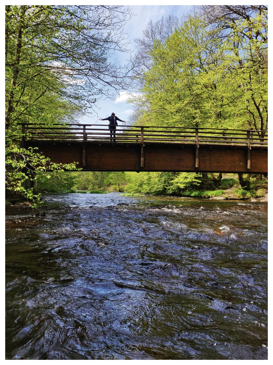 Photo of Summer Day Trip: Hiking along the Eifel Region (Stage 3 : Monschau to Einruhr) by Eby George