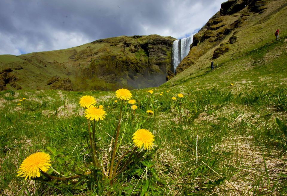Photo of Iceland by Vaibhav Gulati