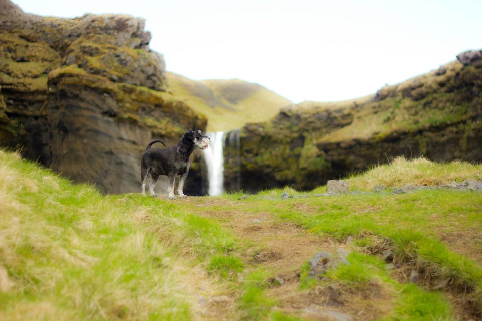 Photo of Iceland by Vaibhav Gulati
