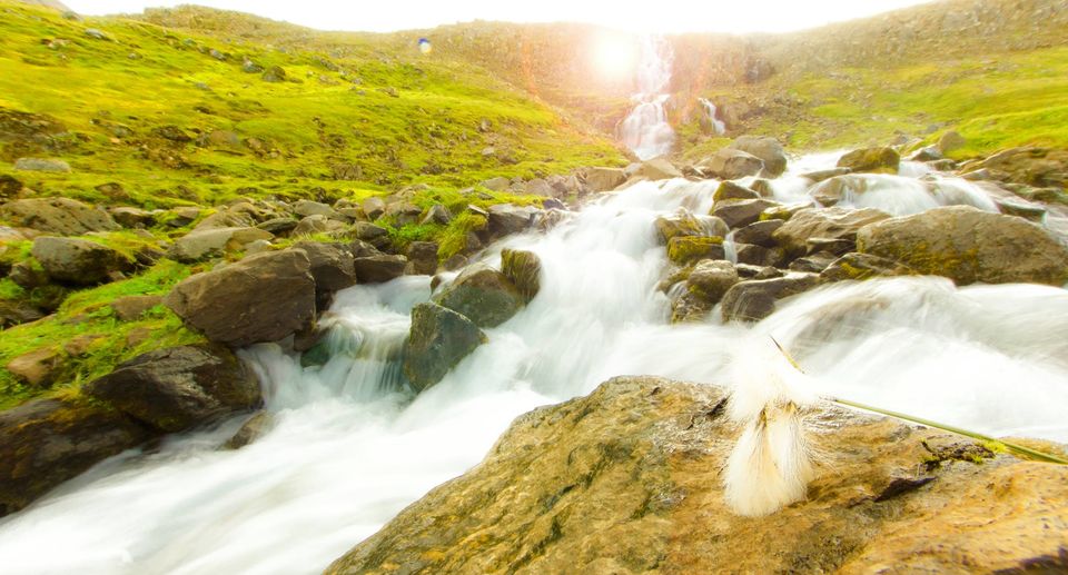 Photo of Iceland by Vaibhav Gulati