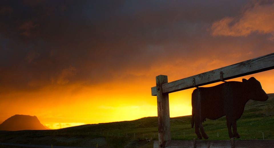 Photo of Iceland by Vaibhav Gulati