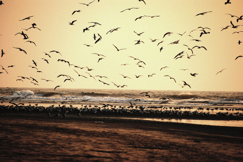 Photo of Along the Konkan Coast - Discover New Beaches 8/28 by Sarah