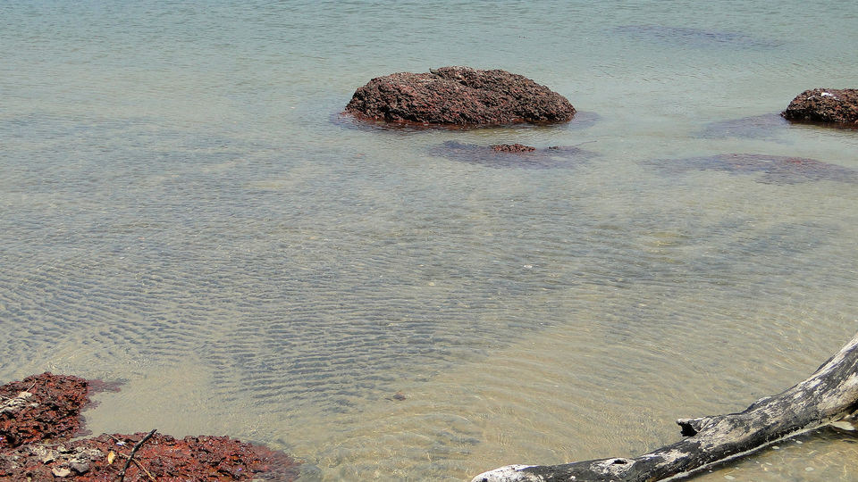 Photo of Along the Konkan Coast - Discover New Beaches 11/28 by Sarah