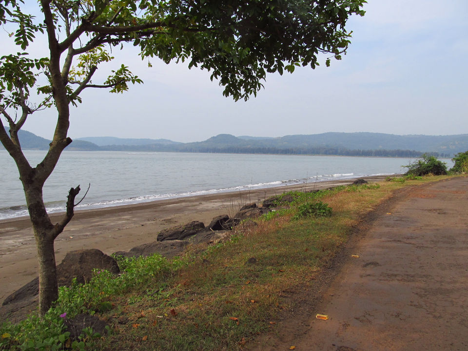 Photo of Along the Konkan Coast - Discover New Beaches 18/28 by Sarah