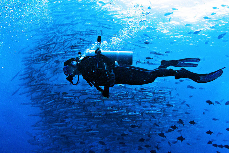 Photo of 10 Dream Destinations Every Diver Fantasizes About 2/40 by Sarah