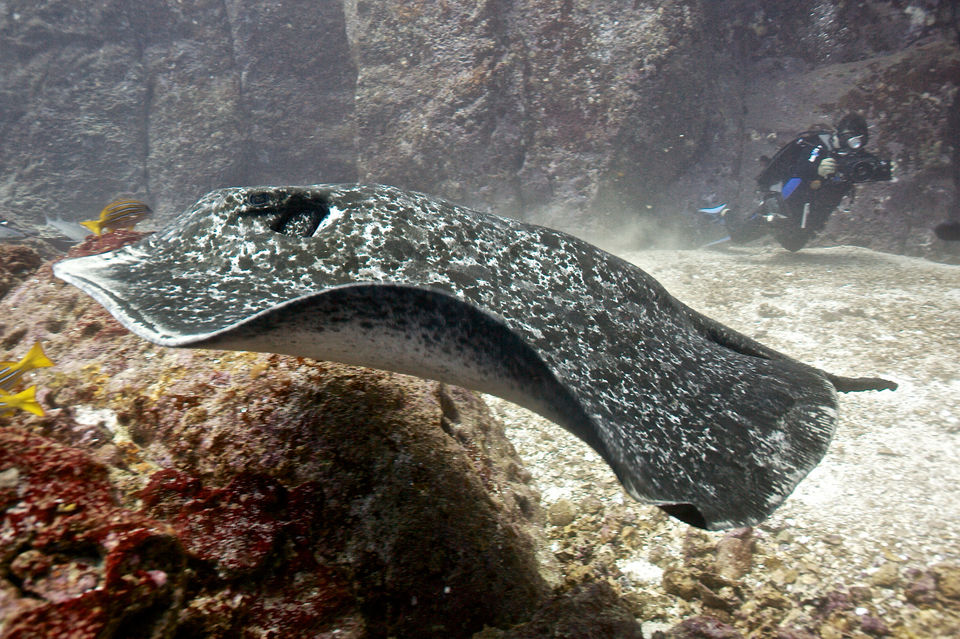 Photo of 10 Dream Destinations Every Diver Fantasizes About 6/40 by Sarah