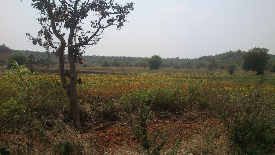 Photo of Ananthagiri Hills: Adventures of Roadtrippin’ Pippin, part 1 14/22 by Sarah