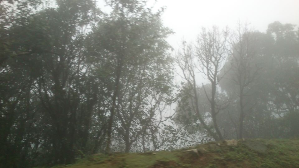 Photo of Lost to Coorg 16/16 by Sarah