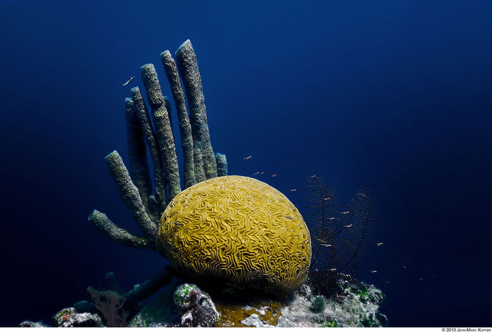 Photo of 10 Dream Destinations Every Diver Fantasizes About 7/40 by Sarah