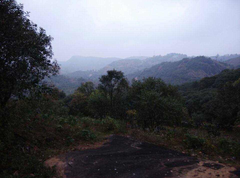 Photo of Vagamon: Bald and Beautiful 13/30 by Sarah