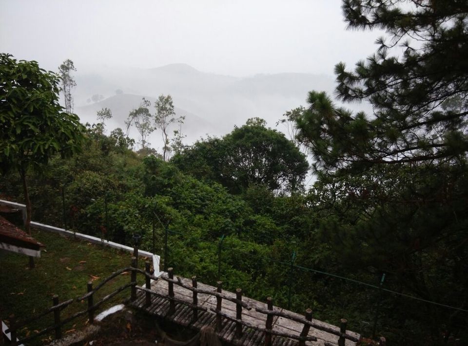 Photo of Vagamon: Bald and Beautiful 15/30 by Sarah