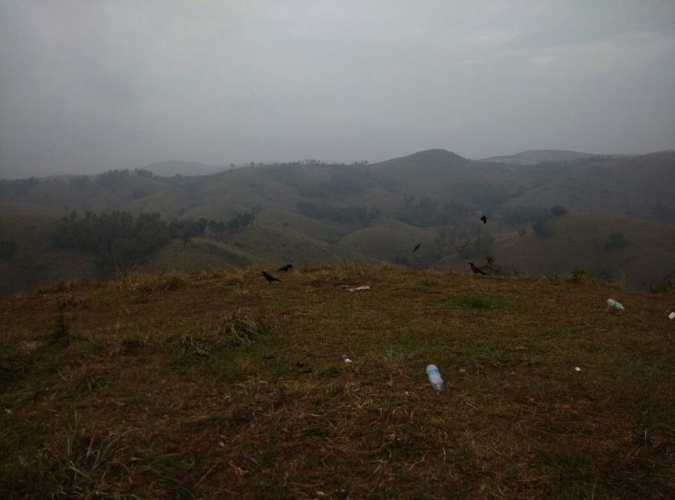 Photo of Vagamon: Bald and Beautiful 18/30 by Sarah