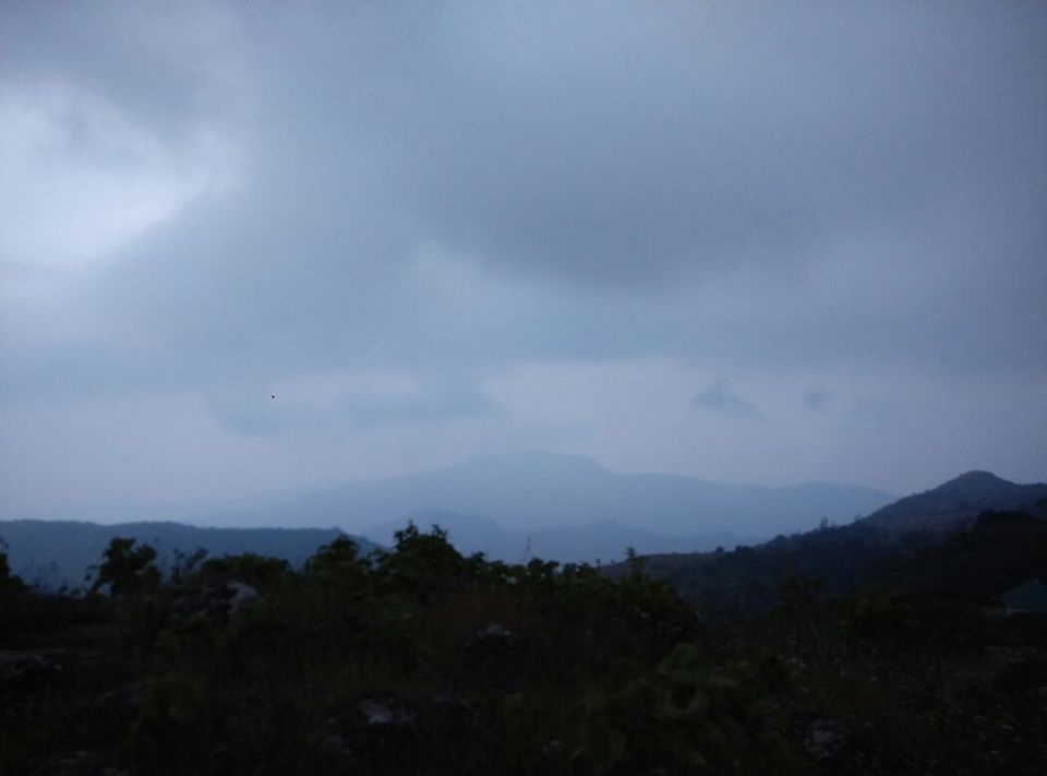 Photo of Vagamon: Bald and Beautiful 20/30 by Sarah