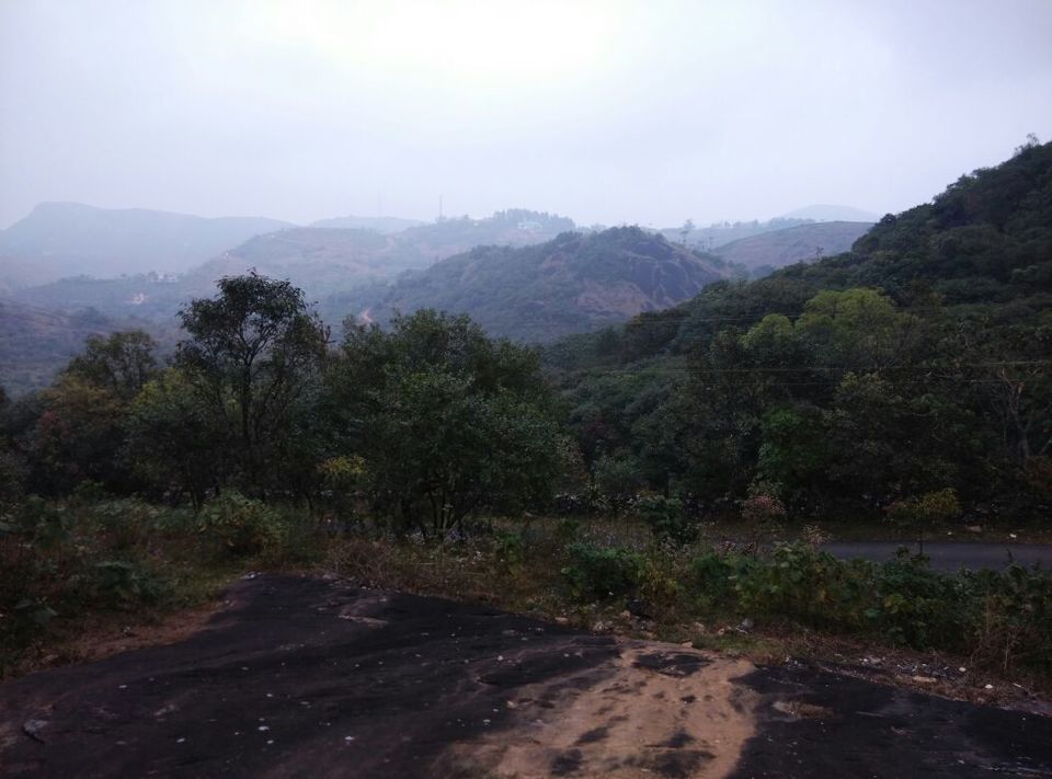 Photo of Vagamon: Bald and Beautiful 21/30 by Sarah