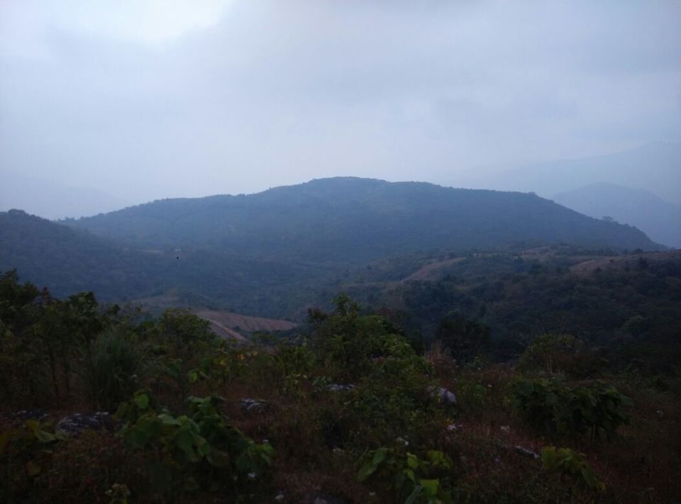 Photo of Vagamon: Bald and Beautiful 22/30 by Sarah