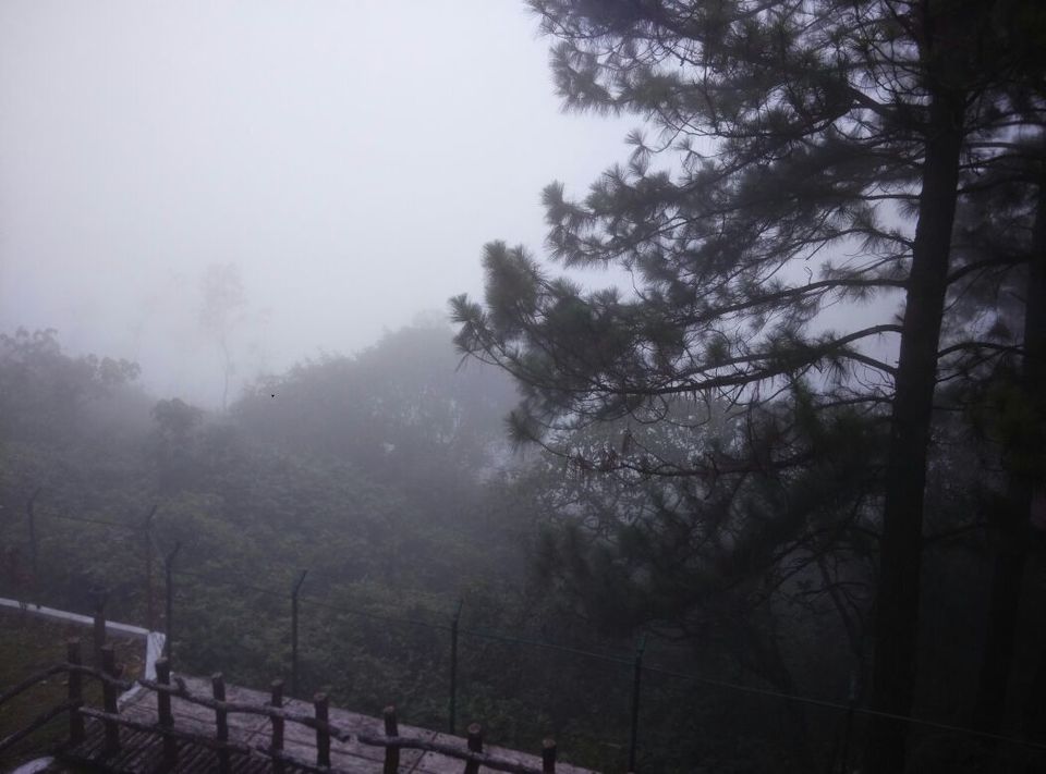 Photo of Vagamon: Bald and Beautiful 24/30 by Sarah