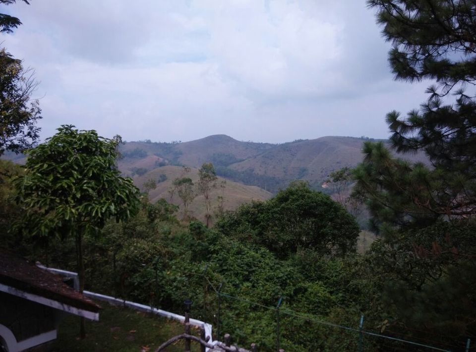 Photo of Vagamon: Bald and Beautiful 26/30 by Sarah