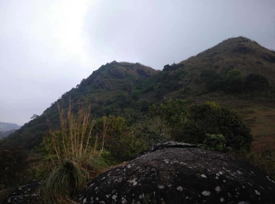 Photo of Vagamon: Bald and Beautiful 27/30 by Sarah