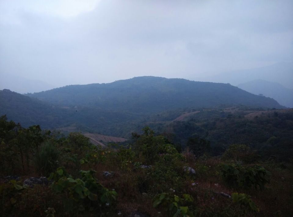 Photo of Vagamon: Bald and Beautiful 29/30 by Sarah