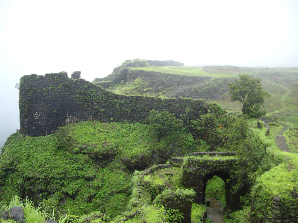 Photo of 7 Treks in the Sahyadris to Awaken Your Soul 7/24 by Sarah