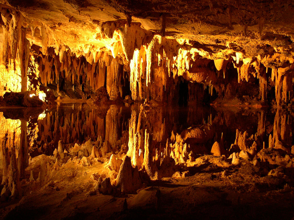 Photo of Marvels of Nature: 12 Strange and Magnificent Natural Wonders 4/28 by Sarah
