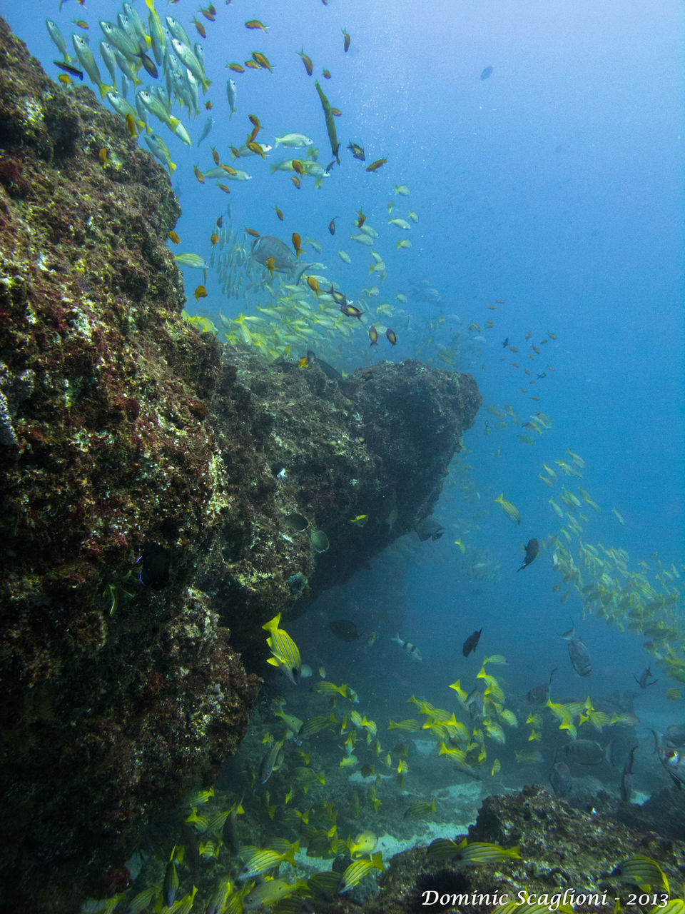 Photo of 10 Dream Destinations Every Diver Fantasizes About 10/40 by Sarah