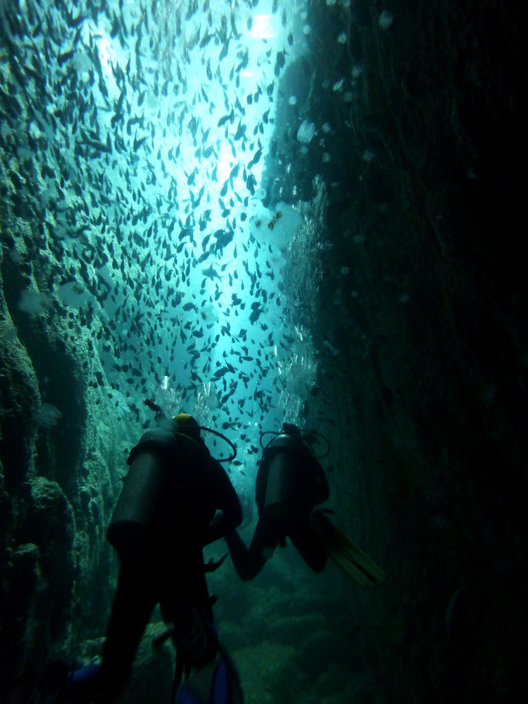Photo of 10 Dream Destinations Every Diver Fantasizes About 13/40 by Sarah
