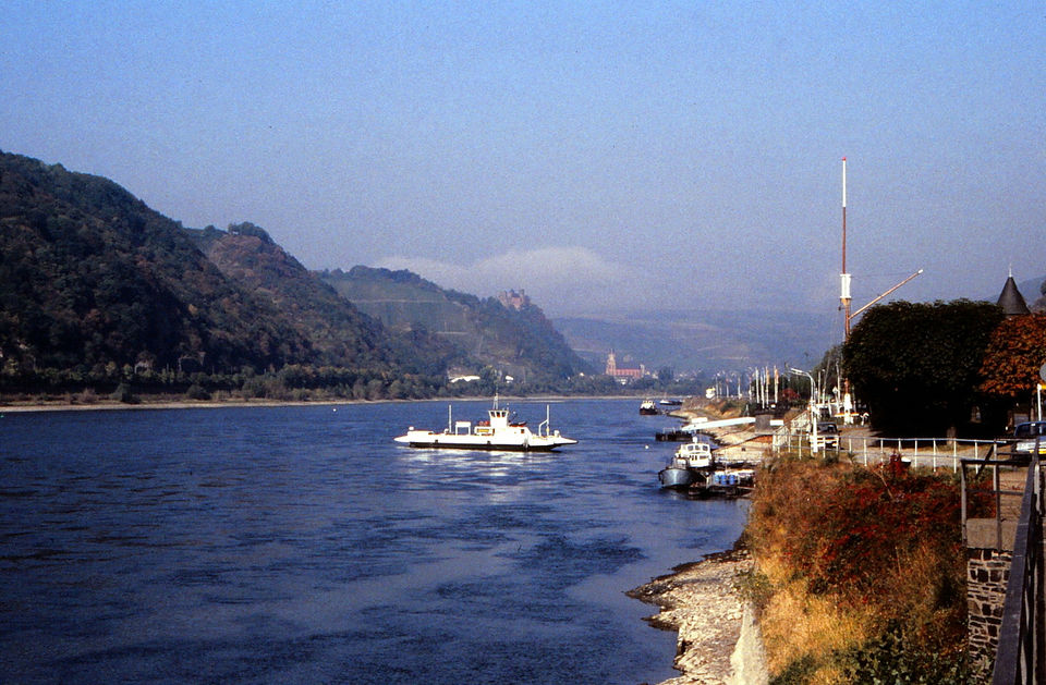 Photo of Cruise the River Rhine to Linz am Rhein 7/14 by Sarah