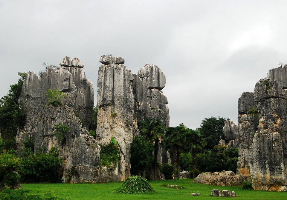 Photo of Marvels of Nature: 12 Strange and Magnificent Natural Wonders 7/28 by Sarah