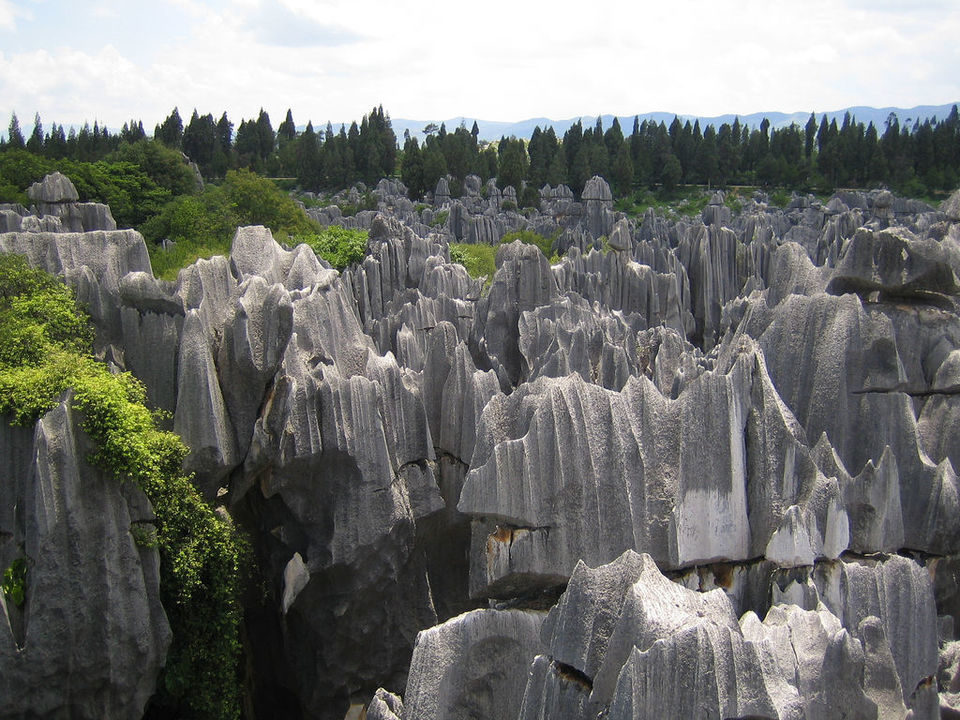 Photo of Marvels of Nature: 12 Strange and Magnificent Natural Wonders 8/28 by Sarah