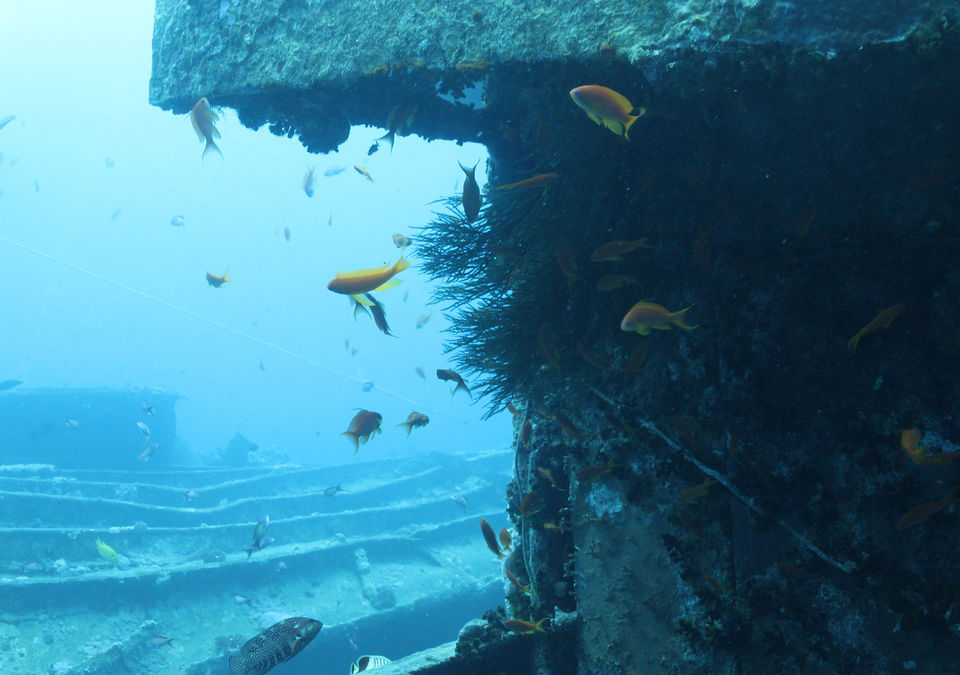 Photo of 10 Dream Destinations Every Diver Fantasizes About 19/40 by Sarah