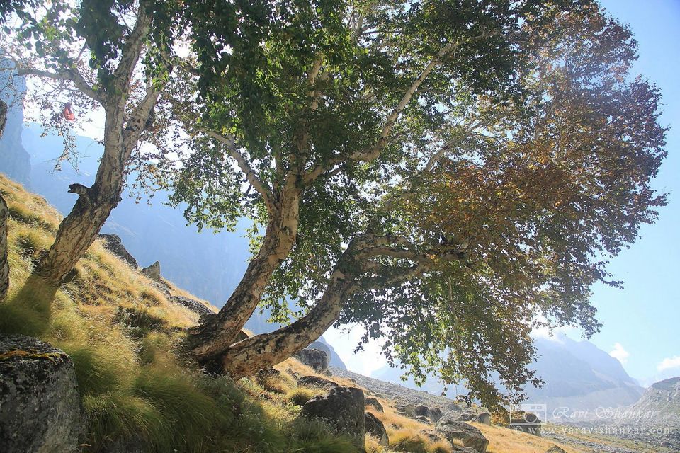 Photo of The Trek To Heaven: Swargarohini 27/53 by Ravi Shankar