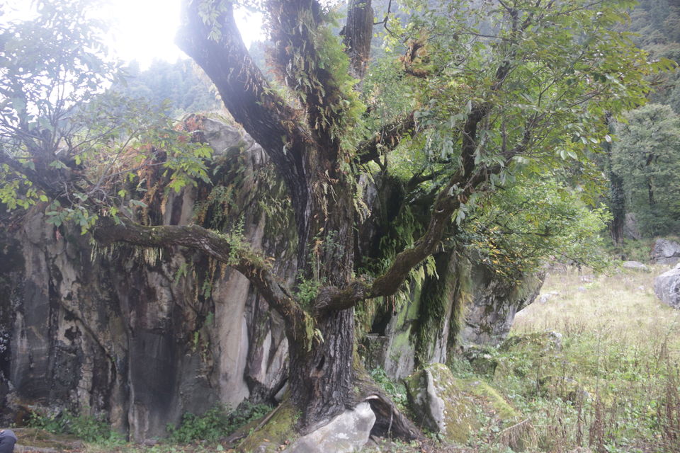 Photo of Trek across Mayali Pass glacier to Kedarnath temple #Uttarakhand #Glacier 22/106 by Ravi Shankar