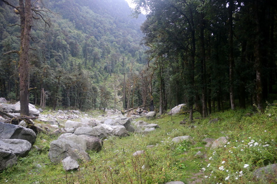 Photo of Trek across Mayali Pass glacier to Kedarnath temple #Uttarakhand #Glacier 23/106 by Ravi Shankar