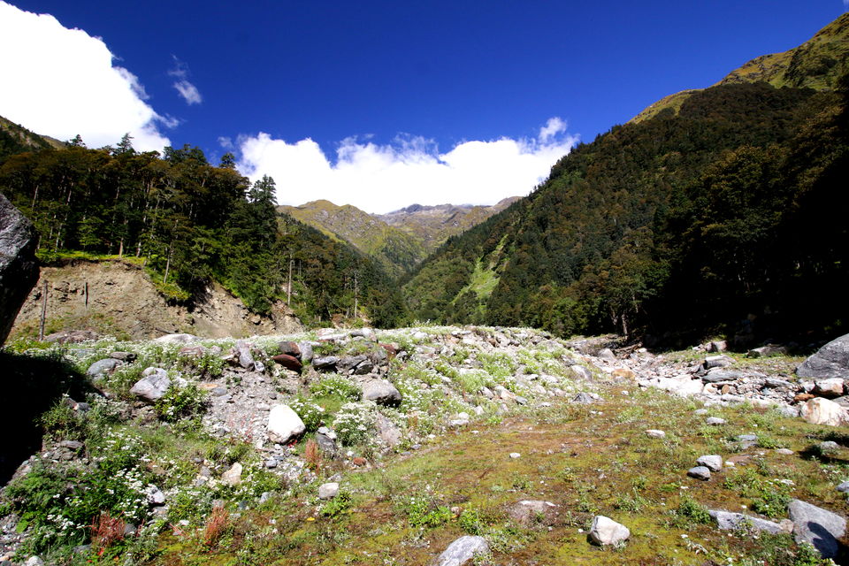 Photo of Trek across Mayali Pass glacier to Kedarnath temple #Uttarakhand #Glacier 30/106 by Ravi Shankar