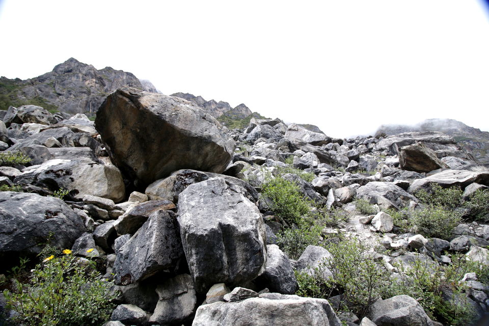 Photo of Trek across Mayali Pass glacier to Kedarnath temple #Uttarakhand #Glacier 34/106 by Ravi Shankar