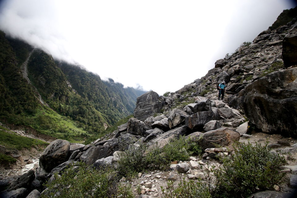 Photo of Trek across Mayali Pass glacier to Kedarnath temple #Uttarakhand #Glacier 35/106 by Ravi Shankar