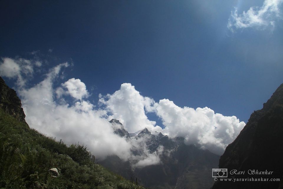 Photo of The Trek To Heaven: Swargarohini 34/53 by Ravi Shankar