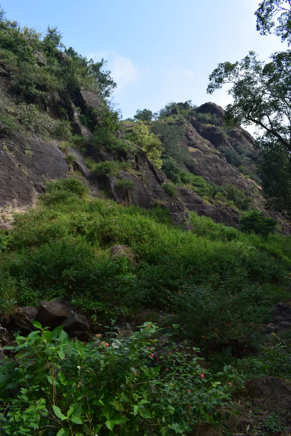 Photo of Jatashankar, Madhya Pradesh, India by nishant soni
