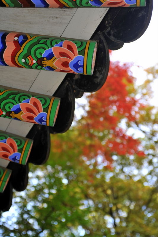 Photo of Changdeokgung, Seoul, South Korea by Chris Backe