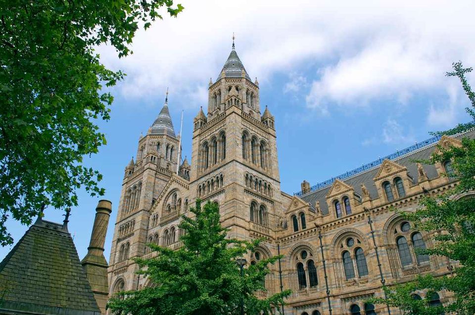 Photo of Visit London Natural History Museum, it will be a great experience by Henry Mosley
