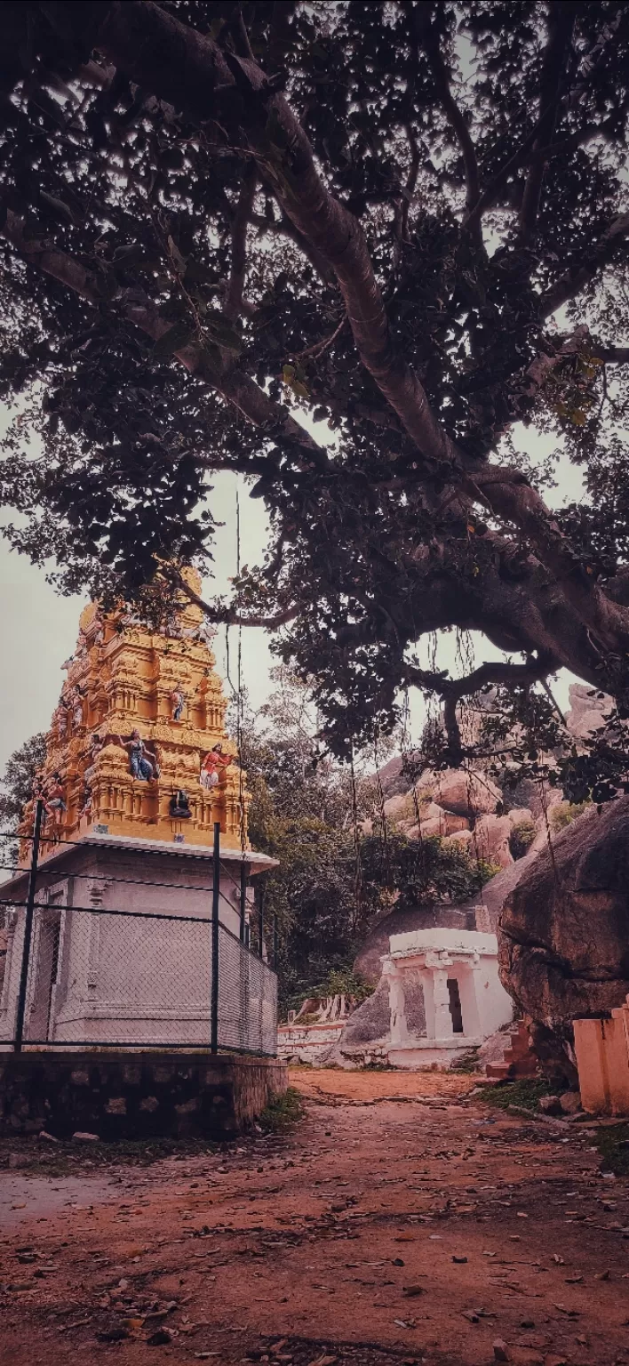 Photo of Kunti Betta by That Wandering Bong Girl